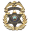 LFUCG Badge